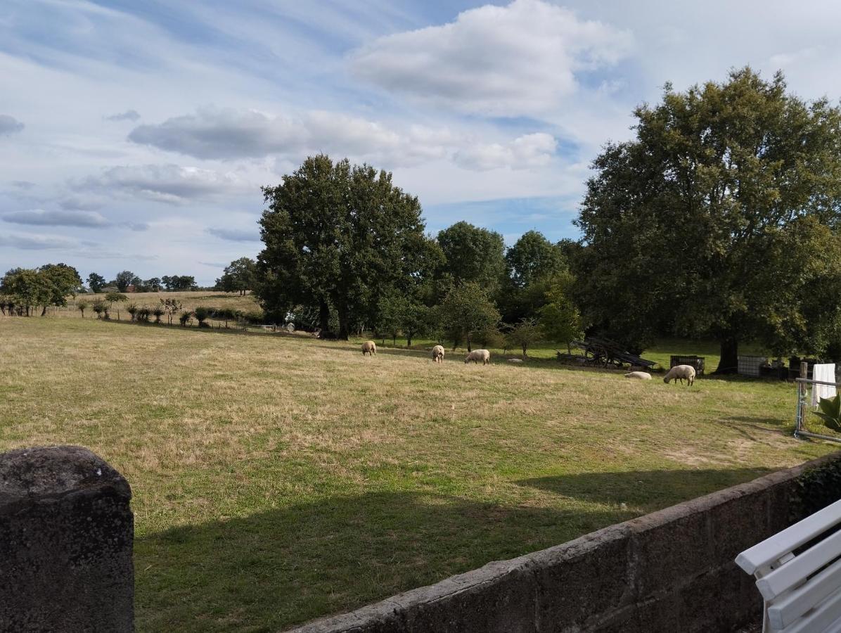 Maison Au Calme Avec Vue Etang Clesse  Extérieur photo