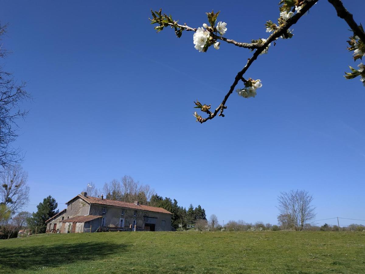 Maison Au Calme Avec Vue Etang Clesse  Extérieur photo