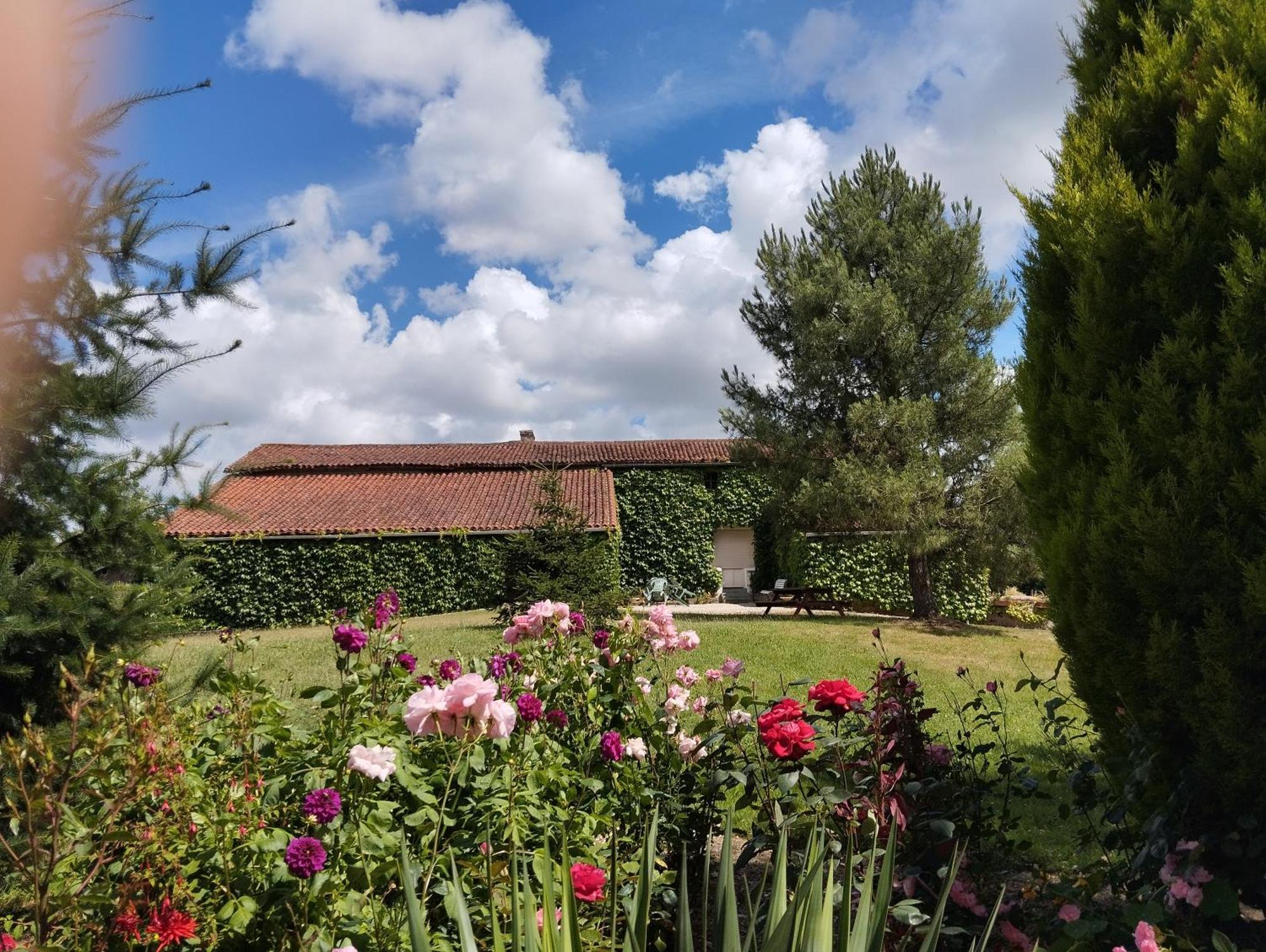 Maison Au Calme Avec Vue Etang Clesse  Extérieur photo