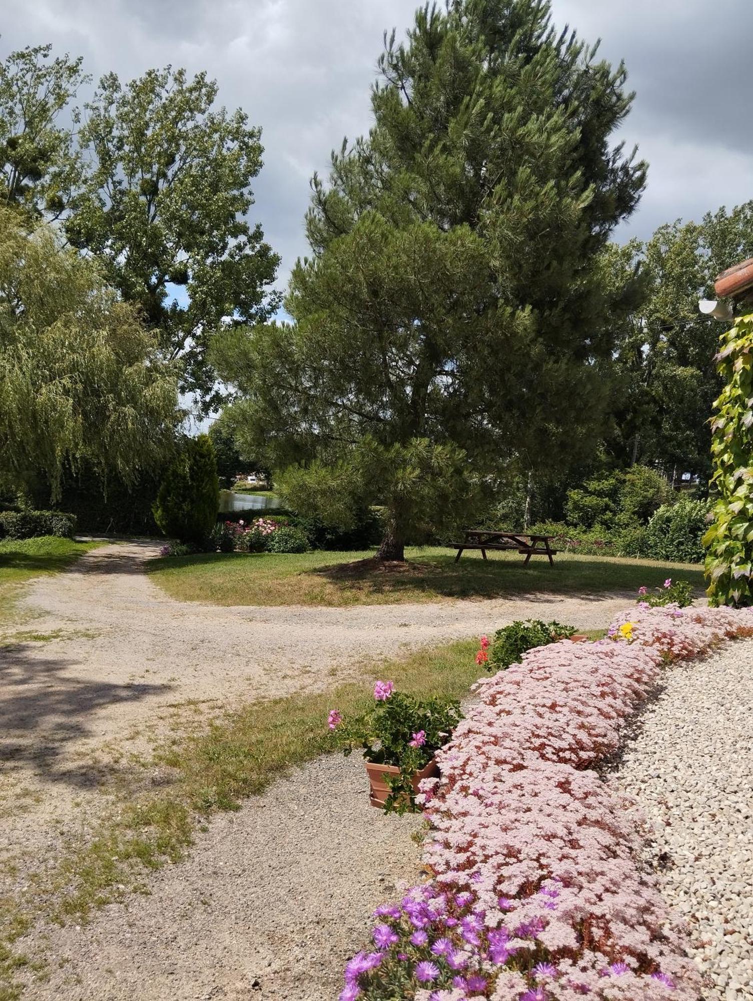 Maison Au Calme Avec Vue Etang Clesse  Extérieur photo